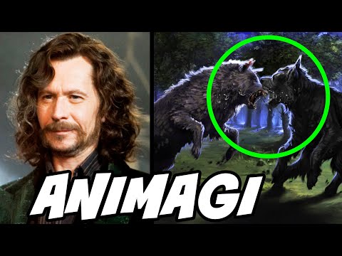 Can an Animagus Be ANYTHING? + How to Become an Animagus - Harry Potter Explained