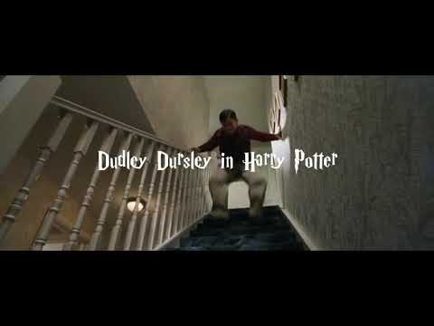 dudley dursley in harry potter