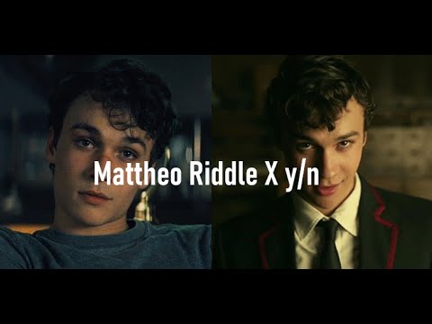 Mattheo Riddle X Y/N -STORY