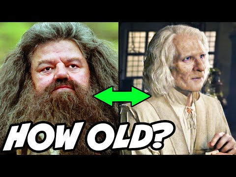 How Long Do Witches and Wizards LIVE? - Harry Potter Theory