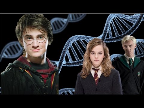 The Magical Blood Lines Explained