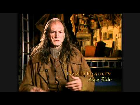 Harry Potter and the Chamber of Secrets - David Bradley short interview